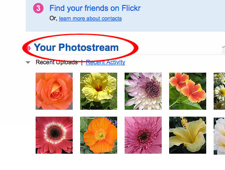 Add Flickr Photostream to your WordPress blog