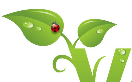 Creating an Environmentally Friendly Green Type Treatment