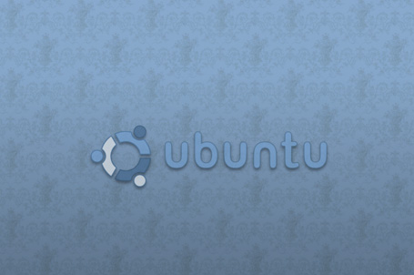 b1kkur1 Ubuntu Renaissance