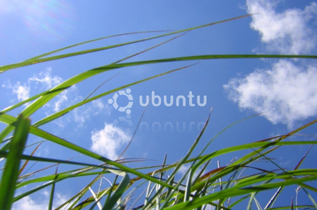 bagnaj97 Ubuntu Grass
